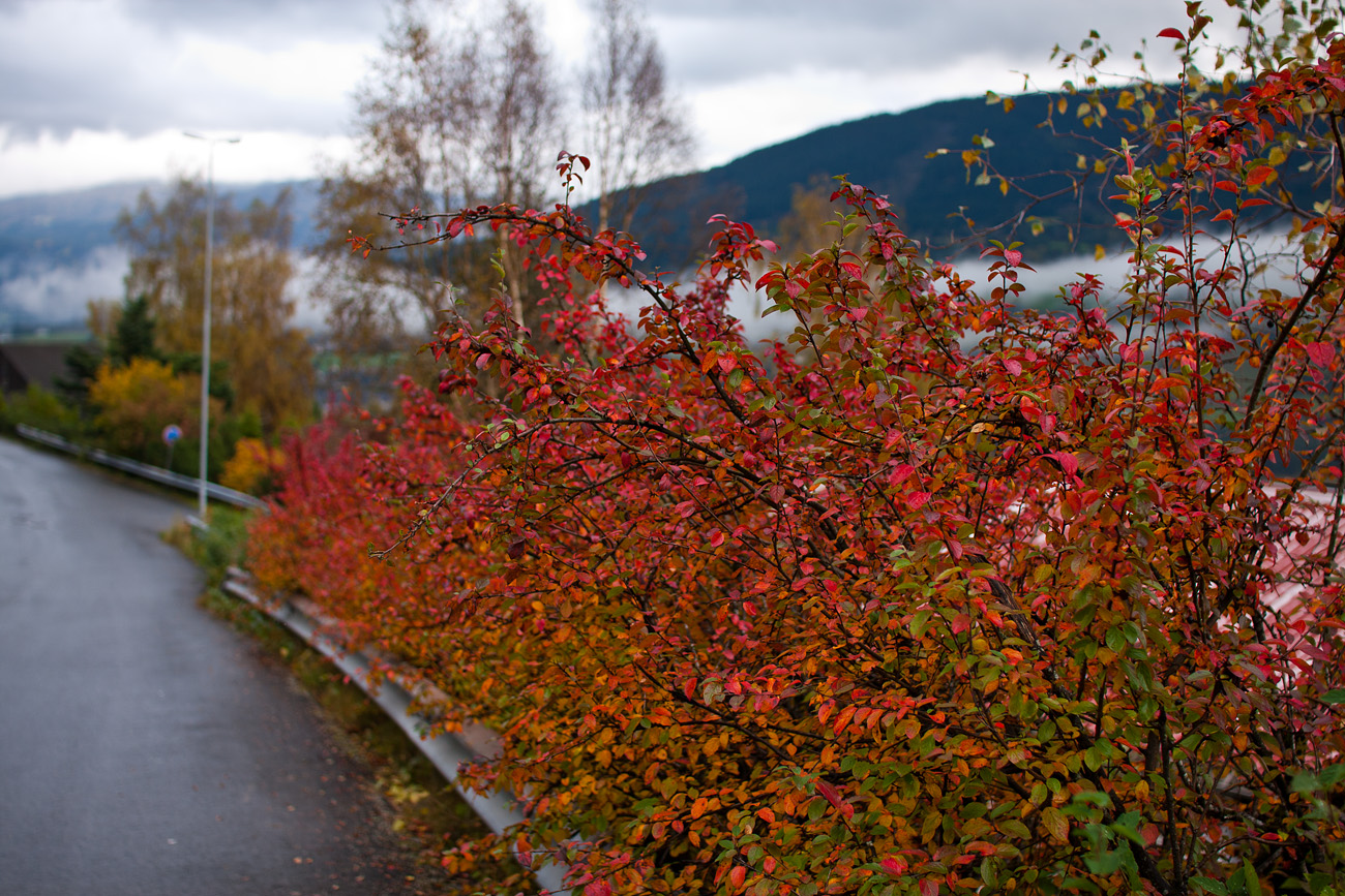 Fagre Voss i høstfarger