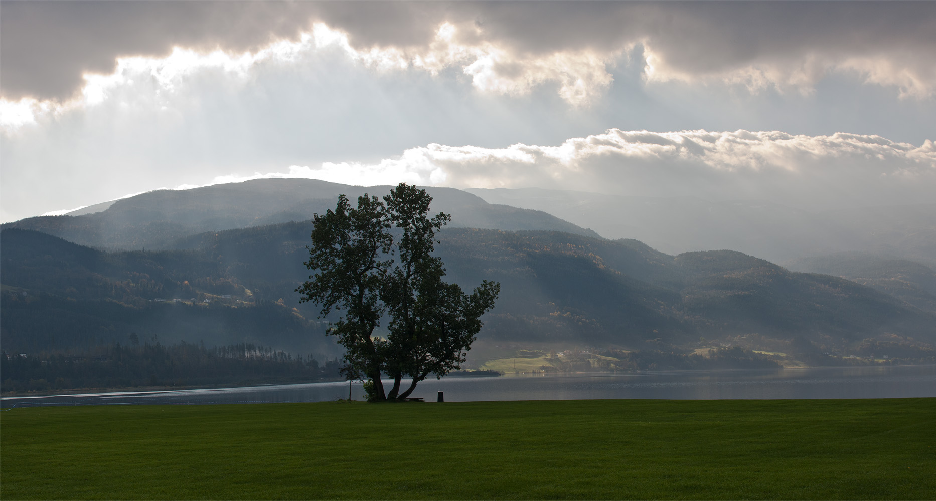 Poppeltreet ved Prestegardslandet